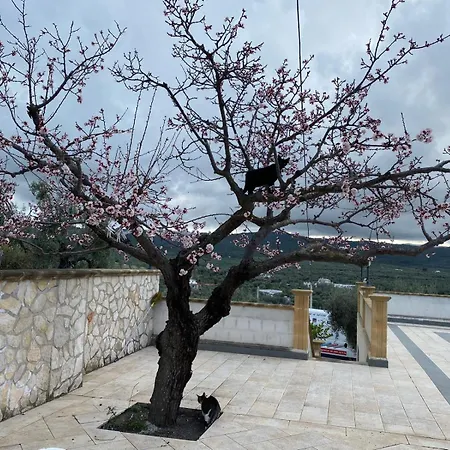 Vieste Διαμέρισμα Lupetto